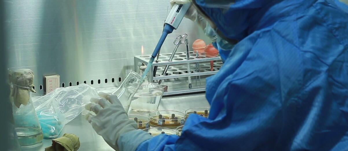 ����8(�й���)���޹�˾����